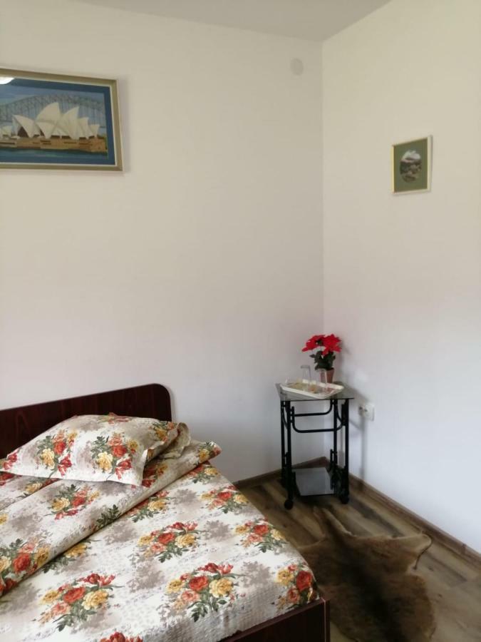 Hotel Pensiunea Bobu Izvoru Muntelui Zewnętrze zdjęcie
