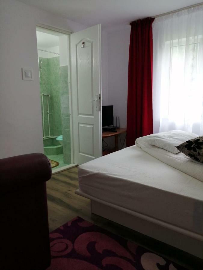 Hotel Pensiunea Bobu Izvoru Muntelui Zewnętrze zdjęcie