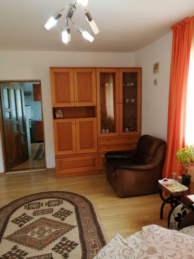 Hotel Pensiunea Bobu Izvoru Muntelui Zewnętrze zdjęcie